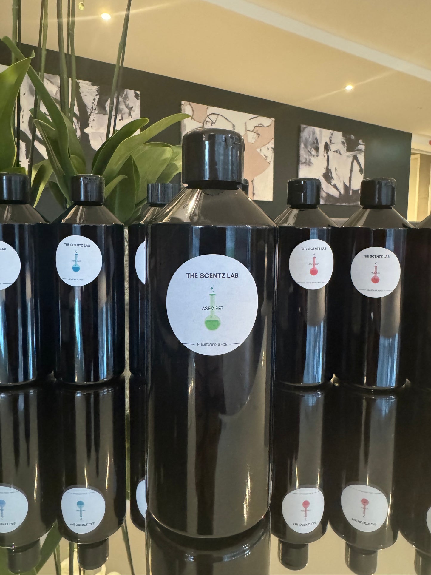 Electric Diffuser & Humidifier Juice - Ready To Use - The Scentz Lab